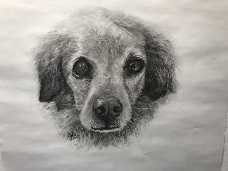 Julie-dog-1
