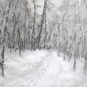 "Fresh Morning Snow"