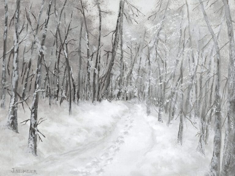 Fresh-Morning-Snow-HiRes-2-scaled-1